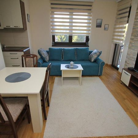 Apartment Lazarevic II Ζλάτιμπορ Εξωτερικό φωτογραφία